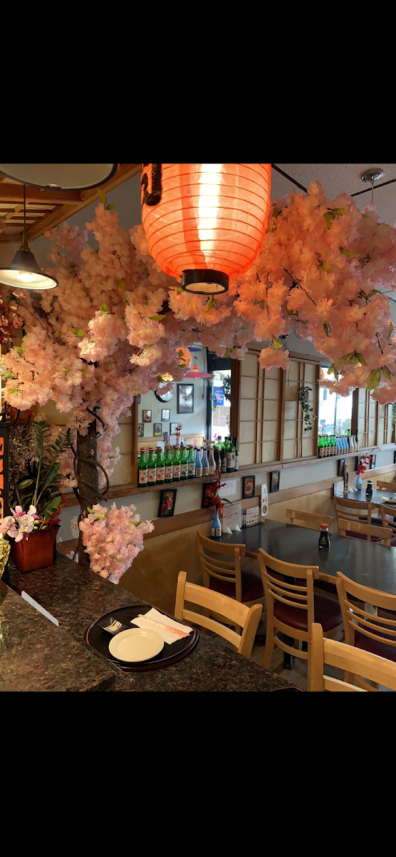 Toyama Japanese Restaurant